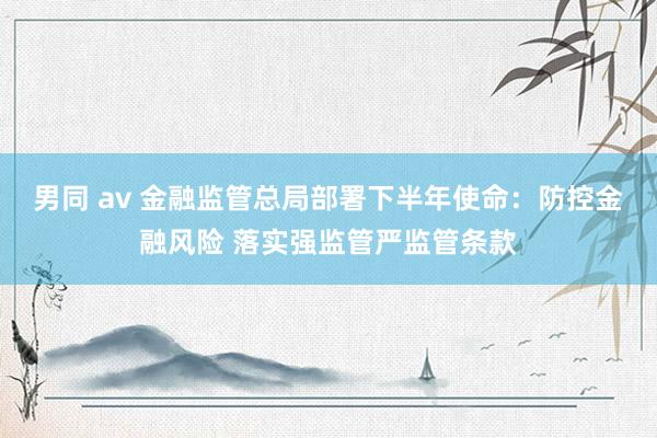 男同 av 金融监管总局部署下半年使命：防控金融风险 落实强监管严监管条款