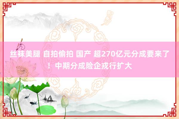 丝袜美腿 自拍偷拍 国产 超270亿元分成要来了！中期分成险企戎行扩大