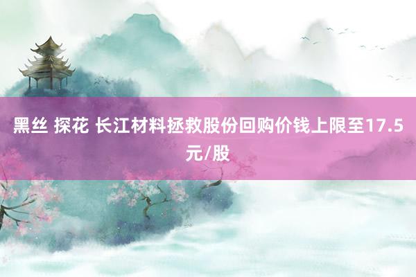 黑丝 探花 长江材料拯救股份回购价钱上限至17.5元/股