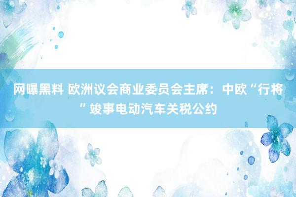 网曝黑料 欧洲议会商业委员会主席：中欧“行将”竣事电动汽车关税公约