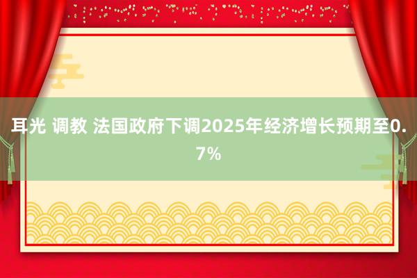 耳光 调教 法国政府下调2025年经济增长预期至0.7%